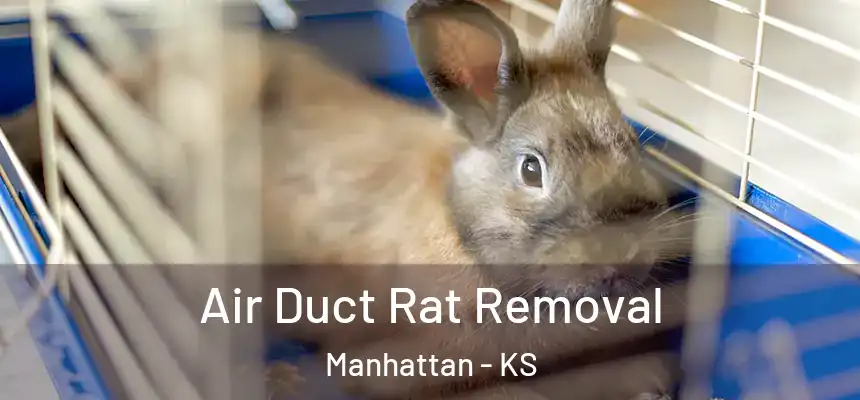  Air Duct Rat Removal Manhattan - KS
