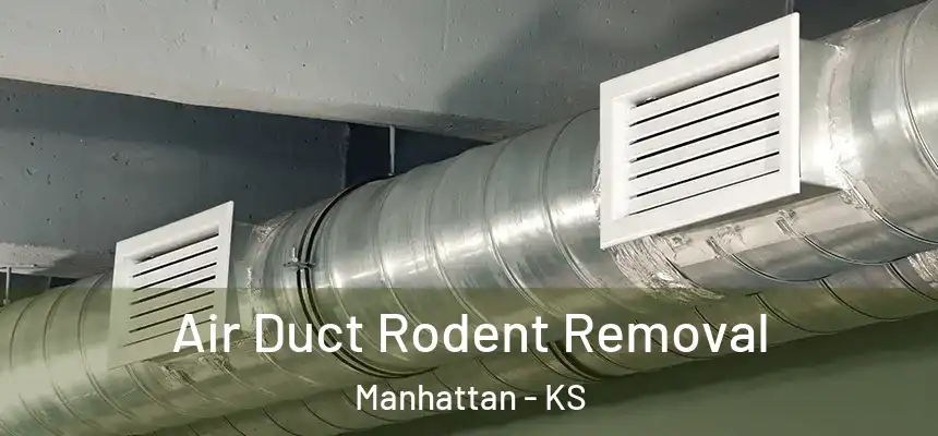  Air Duct Rodent Removal Manhattan - KS