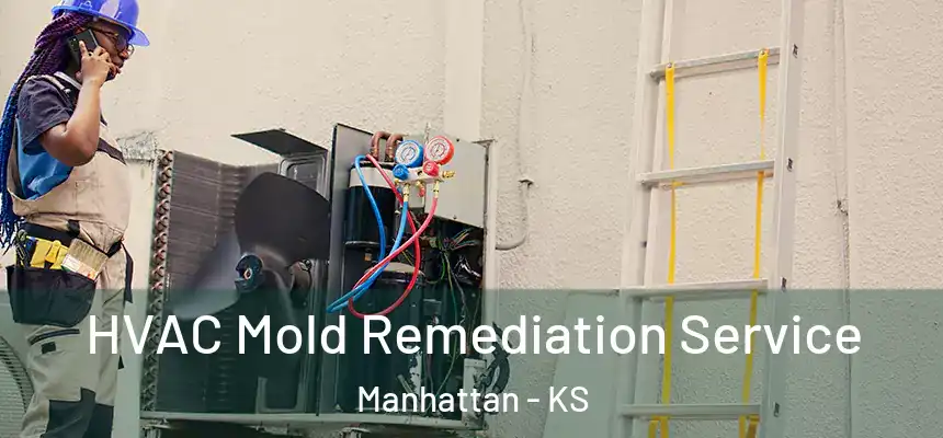  HVAC Mold Remediation Service Manhattan - KS