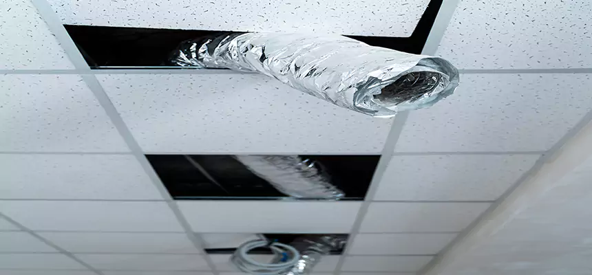 Our Air Duct Pet Hair Removal Services in Manhattan, KS