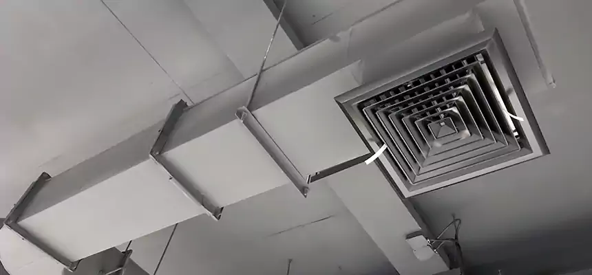 Our Pest Removal From Ducts Services in Manhattan, KS