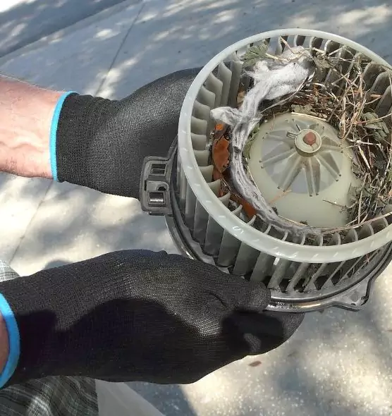 About Air Duct Rat Removal in Manhattan, KS